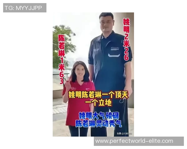 蔡依林与姚明携手共创跨界奇迹引领娱乐与体育新风潮